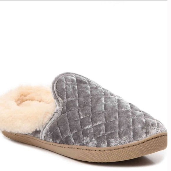 slipper steve madden